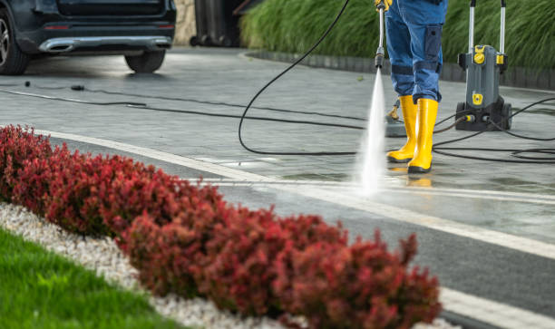 Best Affordable Power Washing  in East Newark, NJ